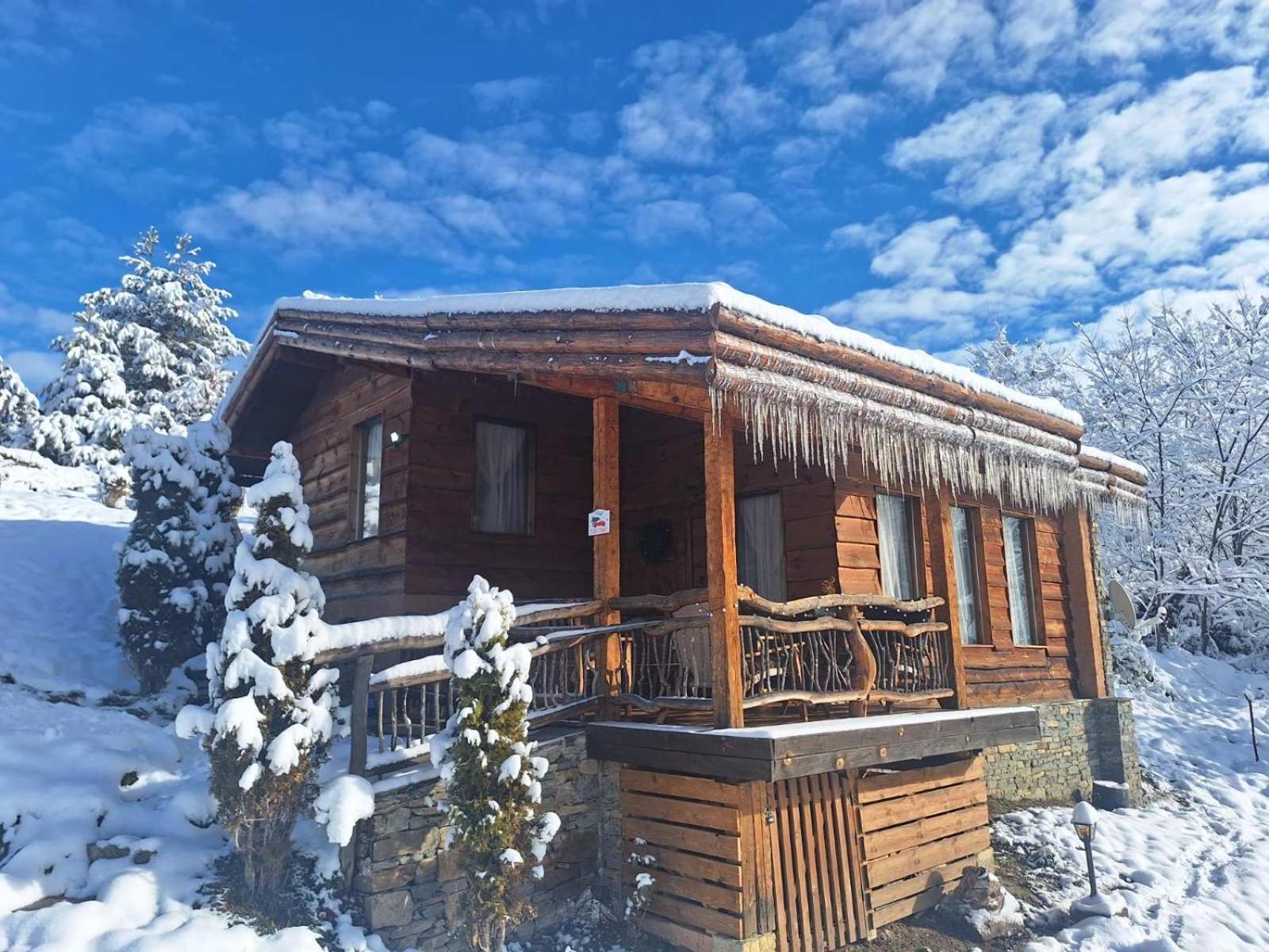 Панорама Хаус Лещен И Еко Къщи Дървена И Землянка Leshten Exterior foto