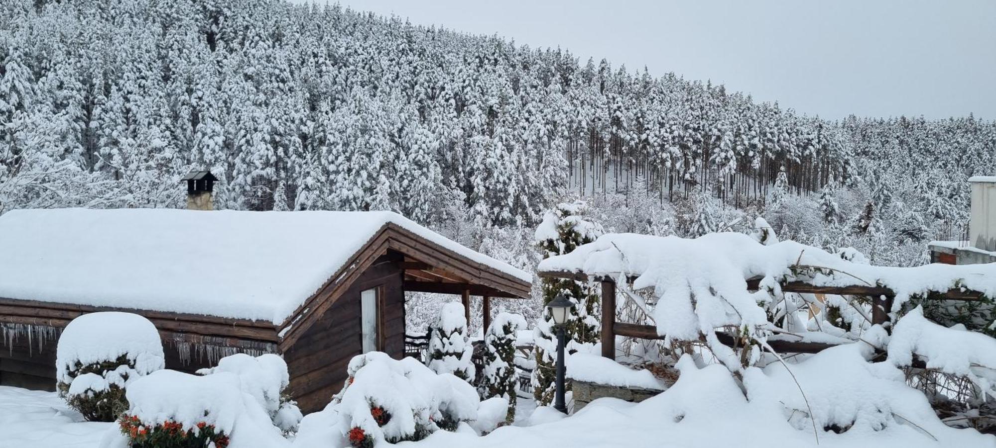 Панорама Хаус Лещен И Еко Къщи Дървена И Землянка Leshten Exterior foto
