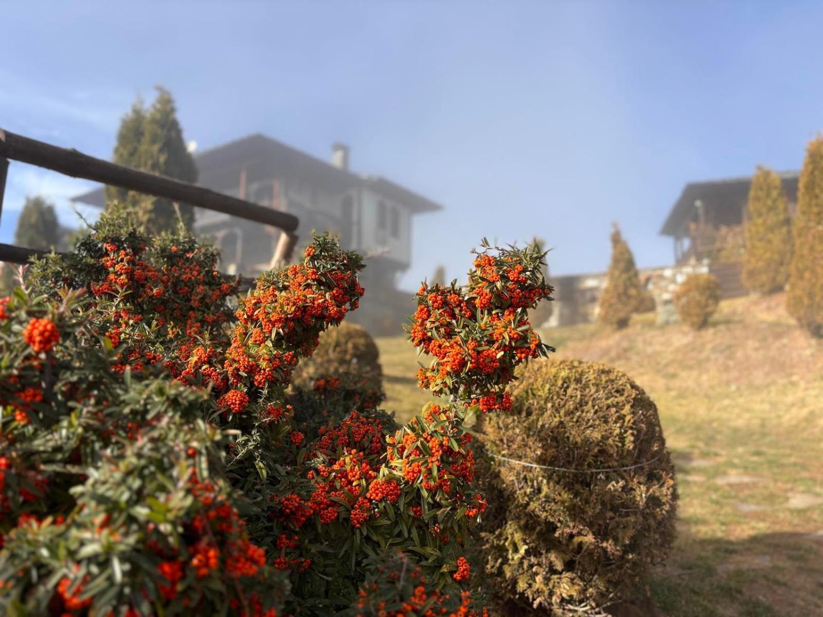 Панорама Хаус Лещен И Еко Къщи Дървена И Землянка Leshten Exterior foto