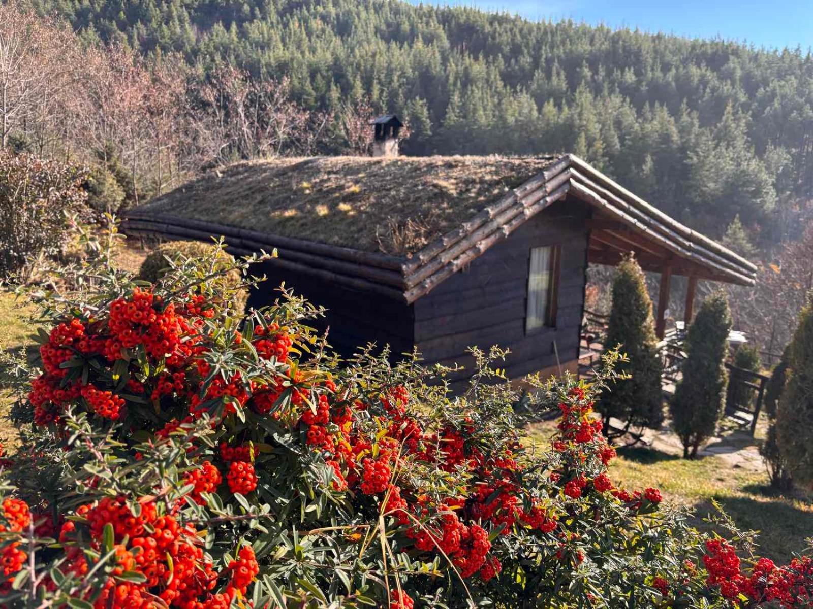 Панорама Хаус Лещен И Еко Къщи Дървена И Землянка Leshten Exterior foto