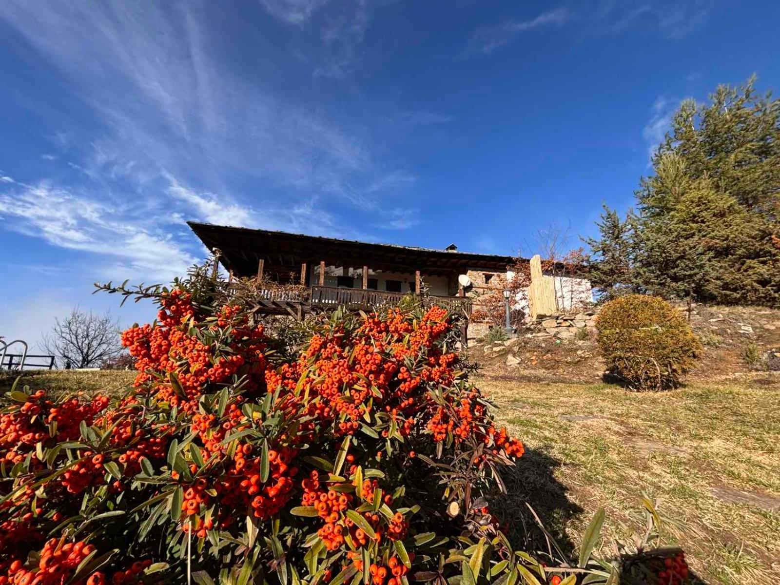 Панорама Хаус Лещен И Еко Къщи Дървена И Землянка Leshten Exterior foto
